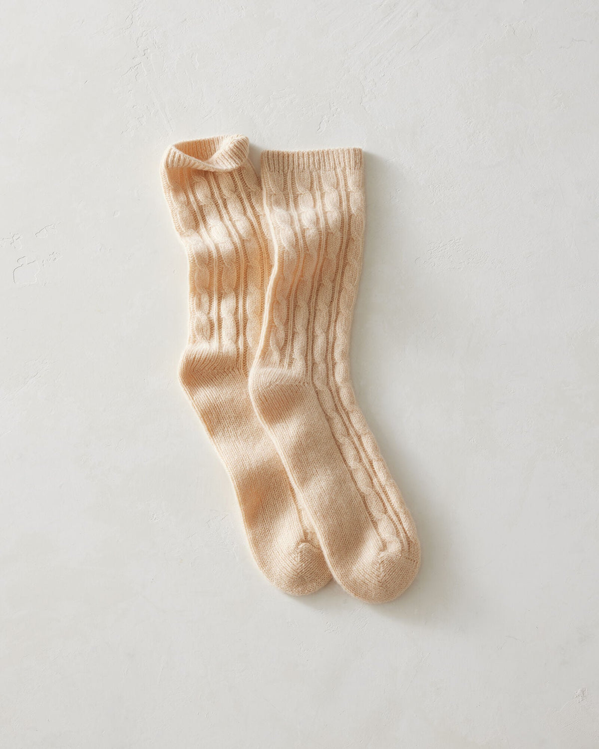 BISCOTTI,001,Accessories