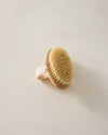 BODY BRUSH