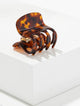CARAMEL TORT/GOLD