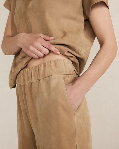 Talbots SUEDE PANTS