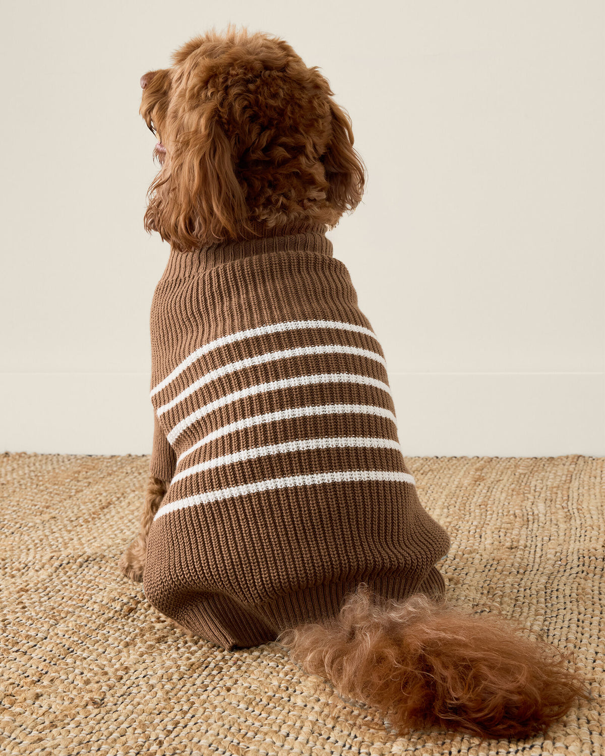Talbots ORGANIC COTTON STRIPED DOG SWEATER