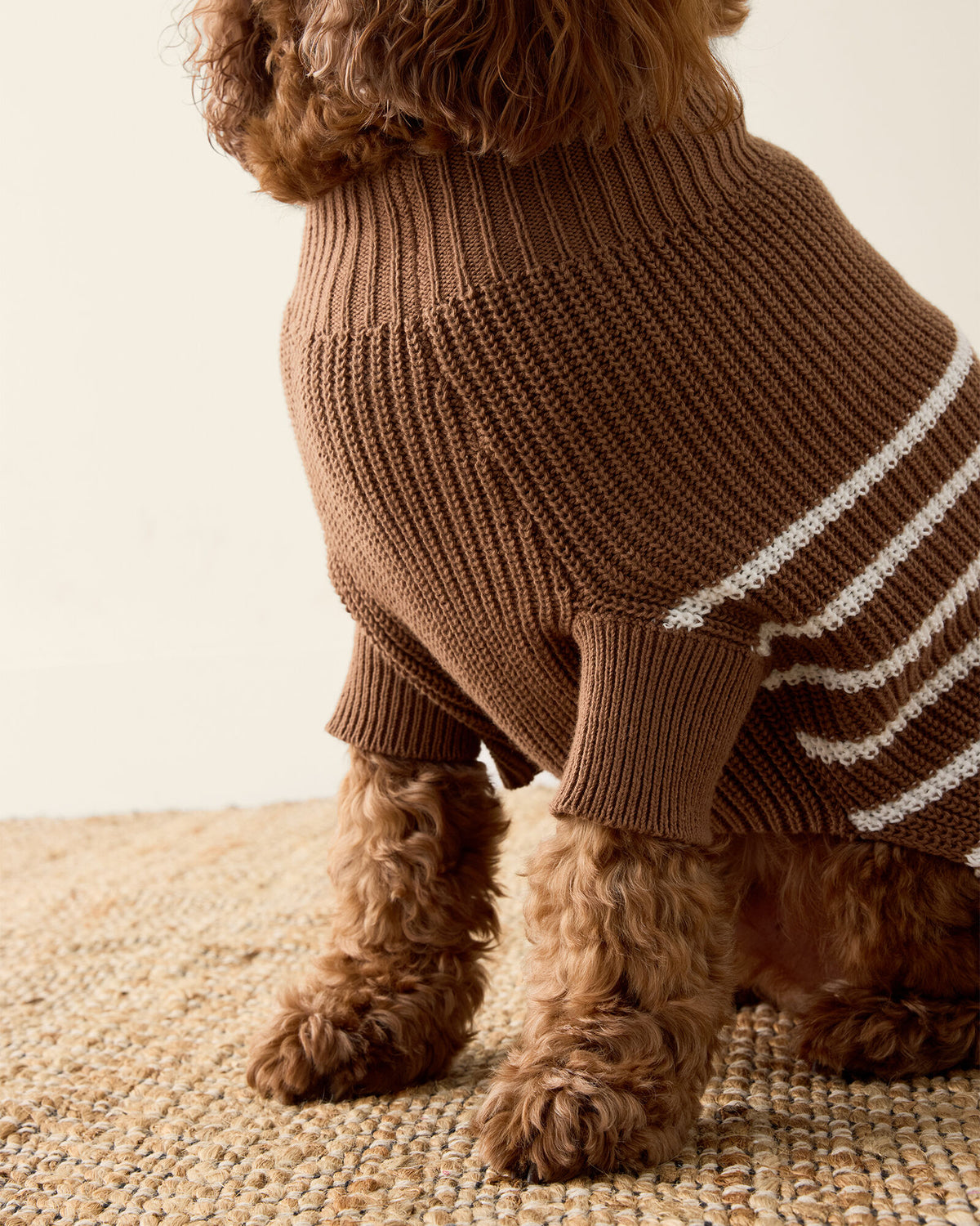 Talbots ORGANIC COTTON STRIPED DOG SWEATER