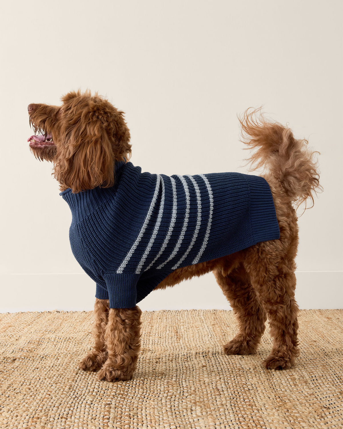 Talbots ORGANIC COTTON STRIPED DOG SWEATER