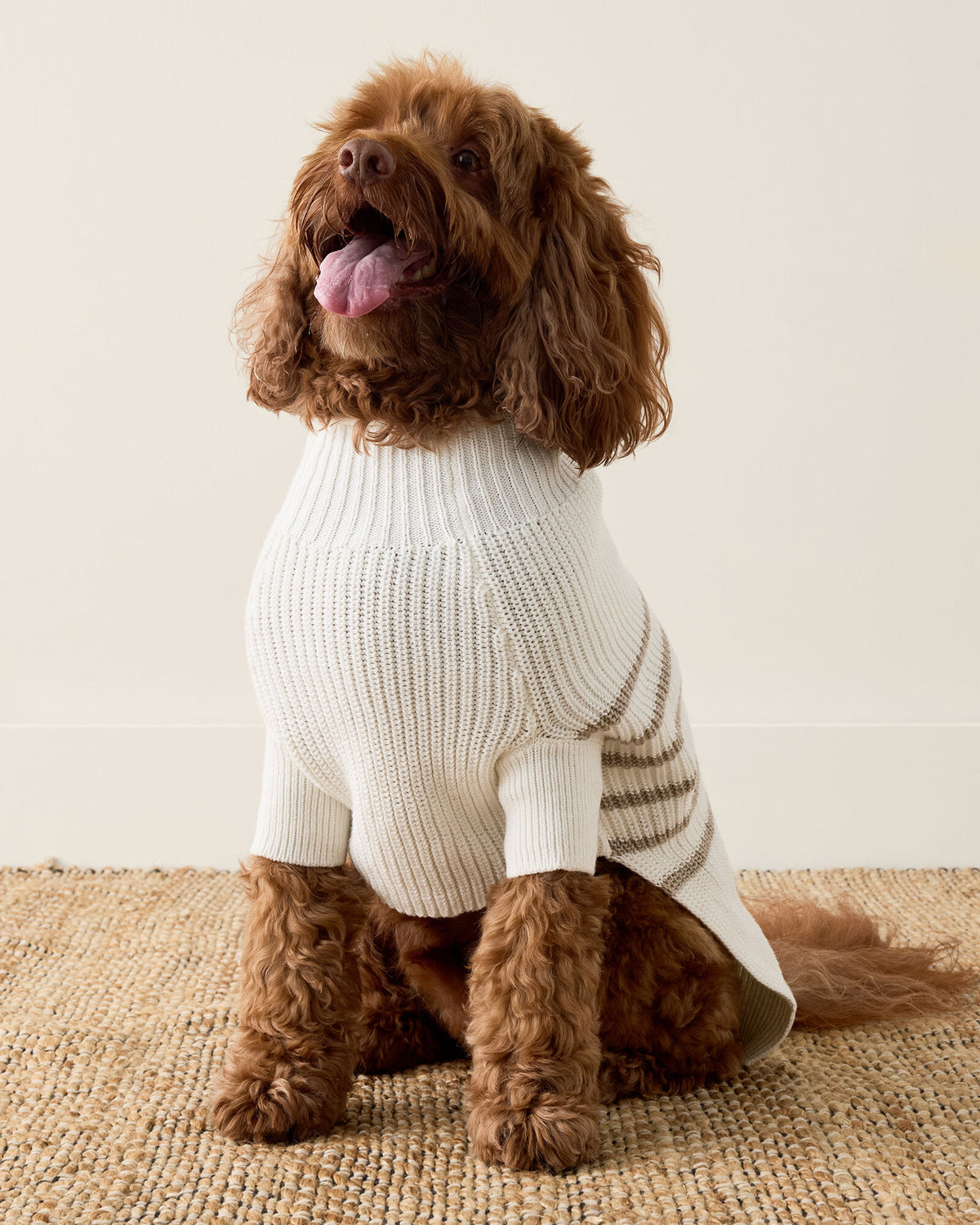Talbots ORGANIC COTTON STRIPED DOG SWEATER