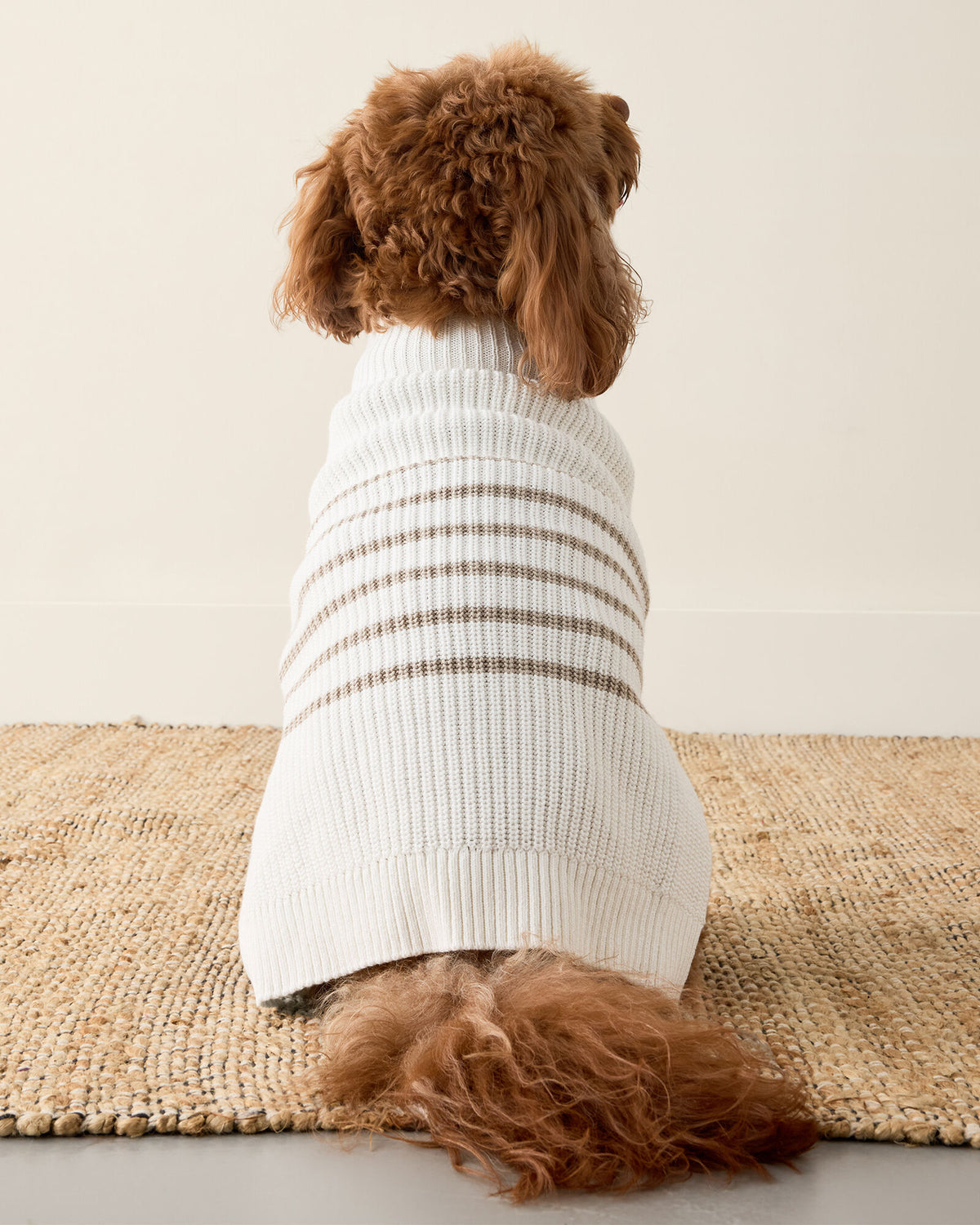 Talbots ORGANIC COTTON STRIPED DOG SWEATER