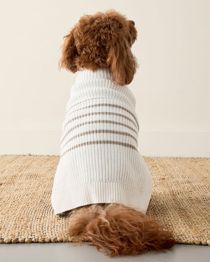 Talbots ORGANIC COTTON STRIPED DOG SWEATER