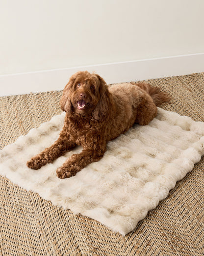 Talbots FAUX FUR PET THROW BLANKET