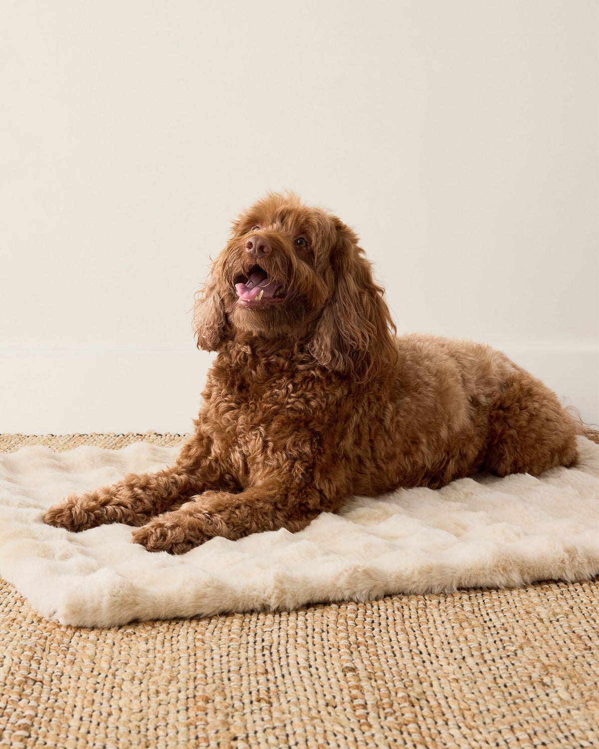 Talbots FAUX FUR PET THROW BLANKET