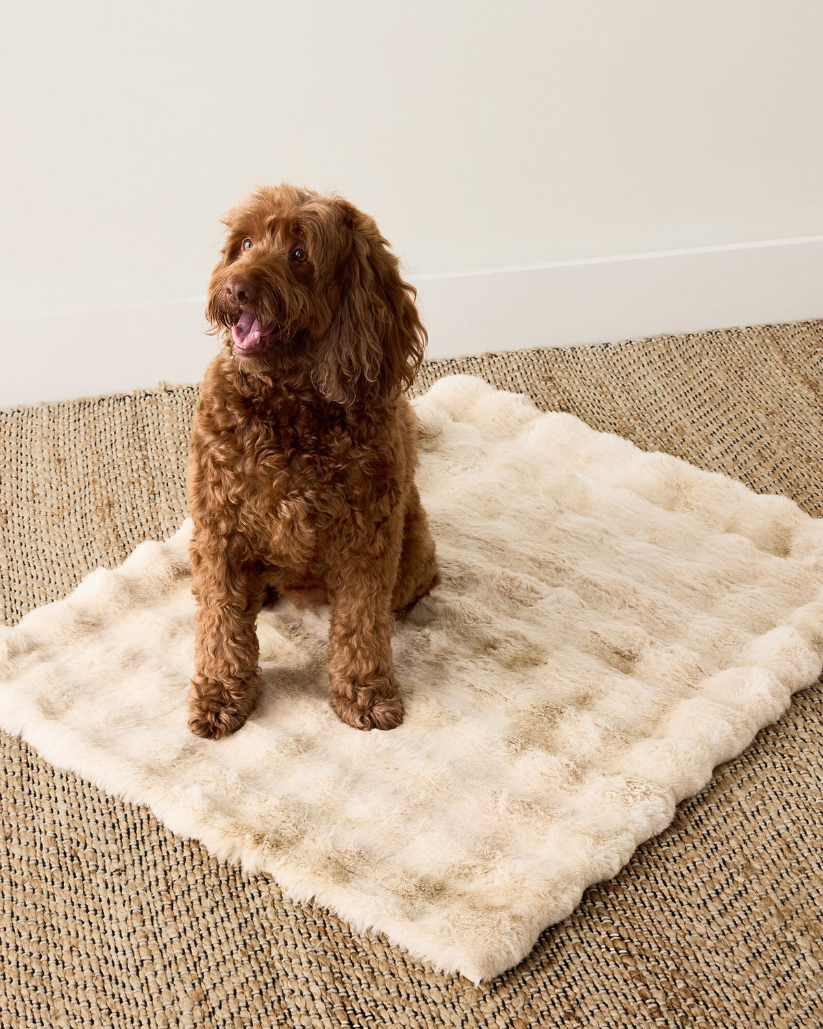Talbots FAUX FUR PET THROW BLANKET