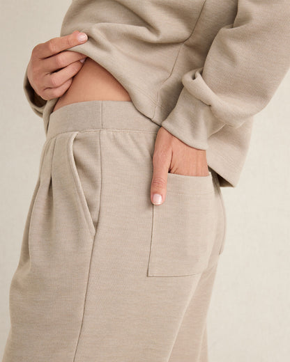 Talbots DOUBLE KNIT PLEATED PANTS